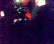 videos de ratm -modena 14/06/2008