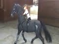 Dare Devil Babu
