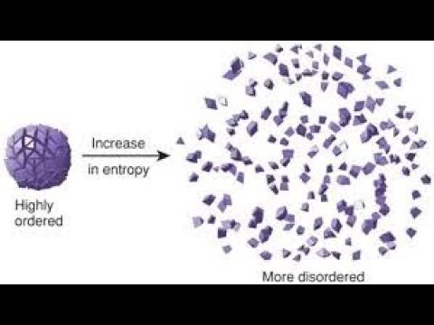 When Scientists Ignore Science – Mark Champneys