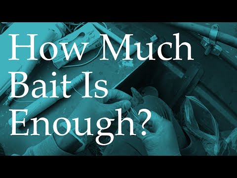 How Much Bait Is Enough? How Much Bait Is Enough?