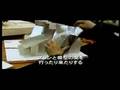 『スケッチ・オブ・フランク・ゲーリー』 予告編