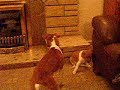 Plummer Pup Plummer Pup