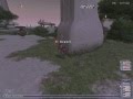 videos de Kiting Despot as a Thief
