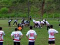 First Down JF Red Fox