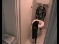 Toilet trained cat #1