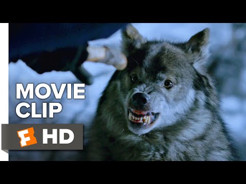 Daughter of the Wolf Movie Clip - Wolf Attack (2019) | Movieclips Indie