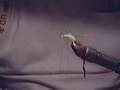 Zoidberg's tying a czech nymph