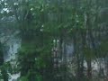 Lac Seul Camping 2008