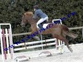 rallye-cheval.html