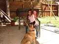 Akita Attack part doo