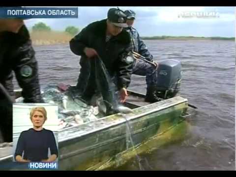 рыбалка браконьеры видео сибирь рыбалка браконьеры видео сибирь