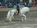 jaripeo del   \"el chapo de sinaloa\"