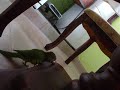 la pelea del sigloxD