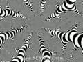 Trippy Shroom Trip