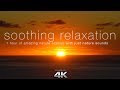 Soothing Relaxation: 1HR of 4K Nature Scenes + Music with Harp, Flute, Strings for Relaxation