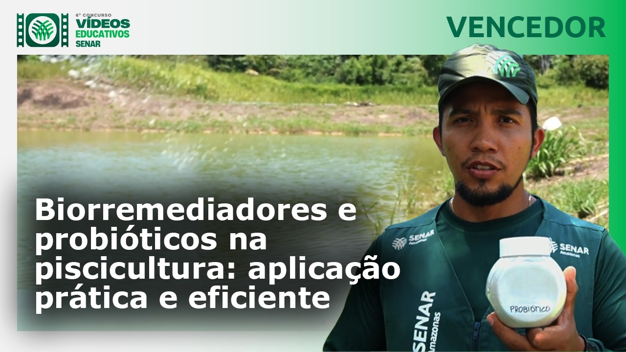 Biorremediadores e probióticos na piscicultura: aplicação prática e eficiente