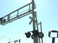Caltrains through Sunnyvale, CA