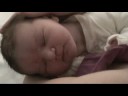 One day old Lola