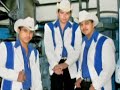los potrillos de sonora