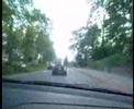 Dodge Viper goes wild Dodge Viper goes wild