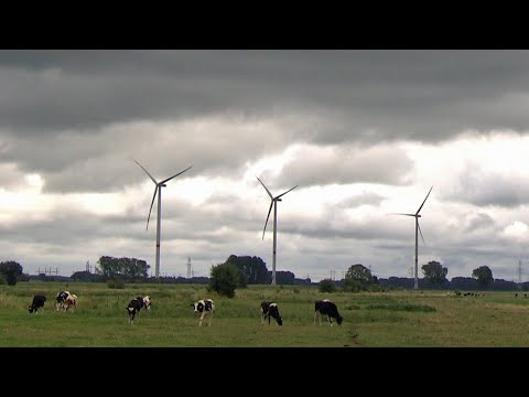 Windparkstreit in der Wesermarsch | Panorama 3 | ND ...