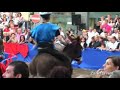 Palio Asini 2008 Borgomanero