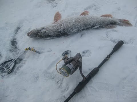Дурниха рыбалка цены Дурниха рыбалка цены