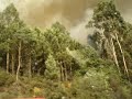 Arde Galiza