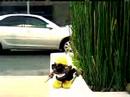 soulja-boy-yah-trick-yahh-official-with-lyrics.html