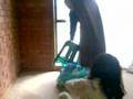 david tran fear of dogs