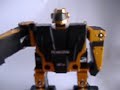 Esempio comando vocale per RoboZak-Robonova
