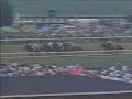 Strike The Gold - 117th Kentucky Derby Winner 1991