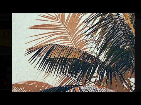 Shreta – Cruise | tekArtist