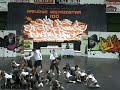 KM IDO Cz?stochowa 2008 - Formacja pow. 15 lat Spoko Zielona KM IDO Cz?stochowa 2008 - Formacja pow. 15 lat Spoko Zielona