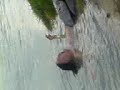 Narr beim Baden in der Isar