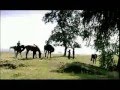 Tatar-Bashkir Song Tulpar Atım Aydar Ğalim with subtitles