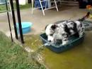 How wet can I get? How wet can I get?