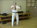 Tai Chi: master Teaching Class Vol. 4 Erle Montaigue