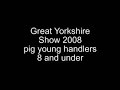 Great Yorkshire Show 2008 - pigs - under 8yrs