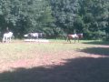 LRFV Eiterfeld ~ Reiterwettbewerb mit Galopp