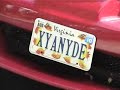 Xyanyde goes to the PreludePower.com Skyline Drive meet, party gets crashed by a bear.  In your face action!  (its not quite in your face, but its near your face)