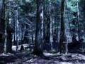 The Devil's Hand: part one