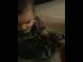 IMG_0336.MOV