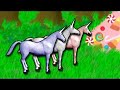 charlie the unicorn