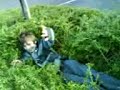 sams big bush sams big bush