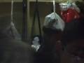 videos de Presentación de Peluchín