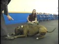 See video