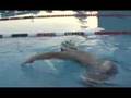 SWIMMING TRAINING TRIATHLETE ( preview )