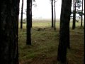 Auf den Spuren der 9. Armee in Halbe, Seelow und Vogelsang