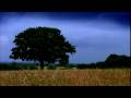 1595 Trailer